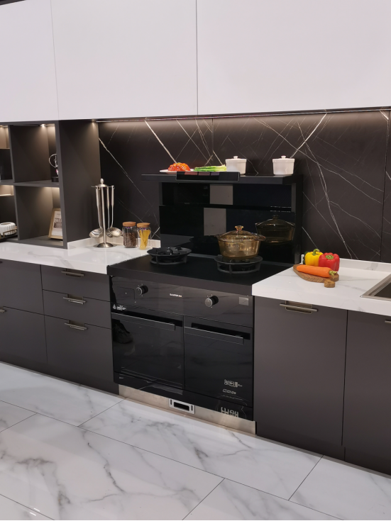 集成灶哪種品牌的好？TJ3多種功能讓廚房生活無比精彩