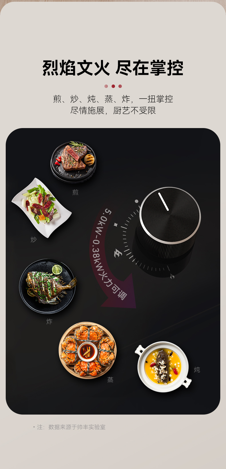 帥豐TJ1消毒柜款集成灶