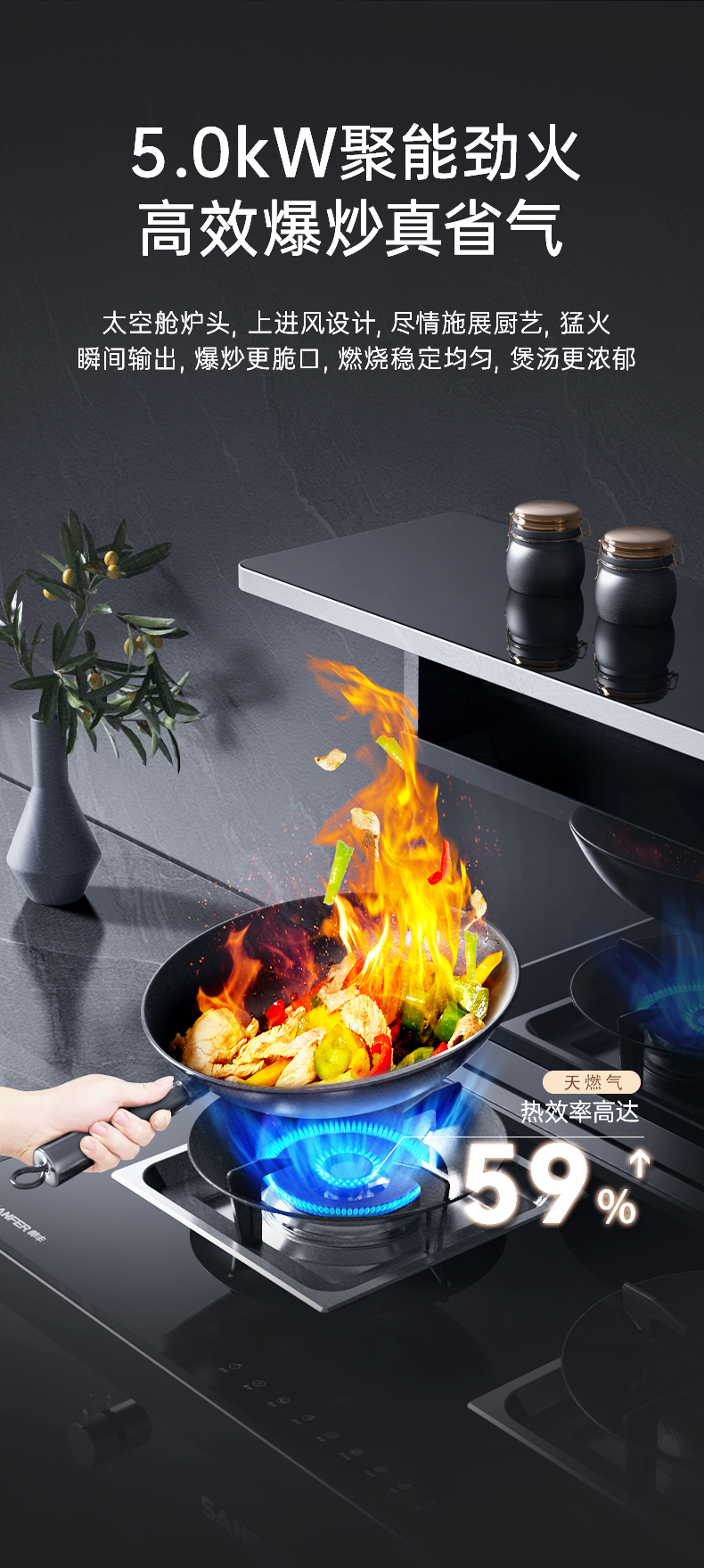 帥豐T1消毒柜款集成灶