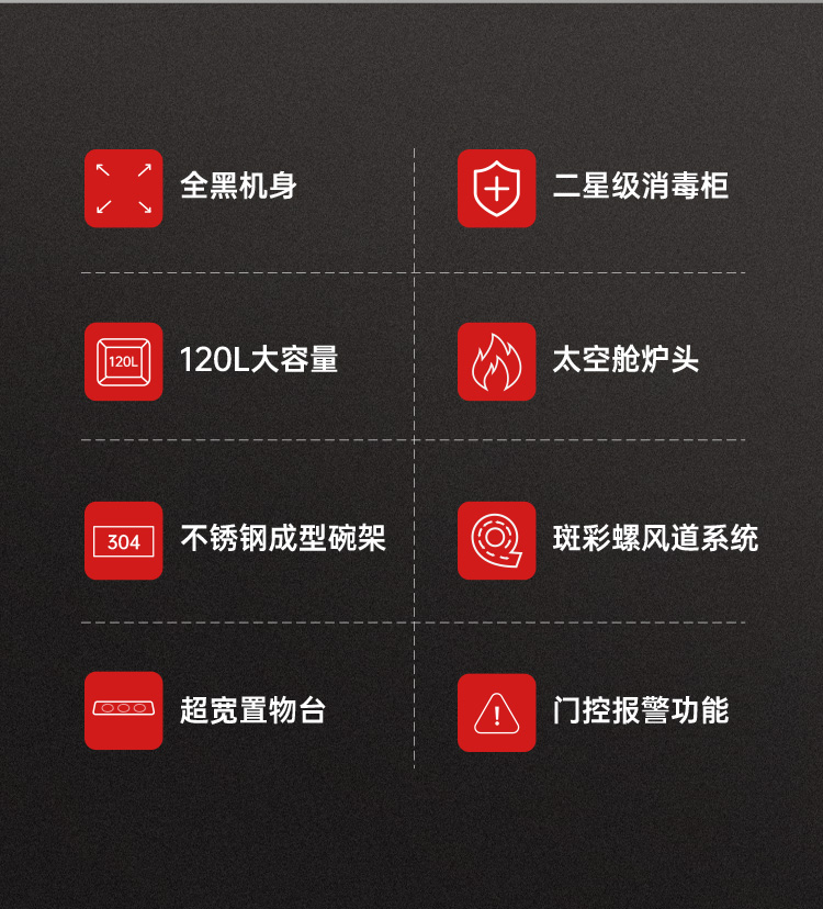 帥豐D3消毒柜（一氣一電）集成灶