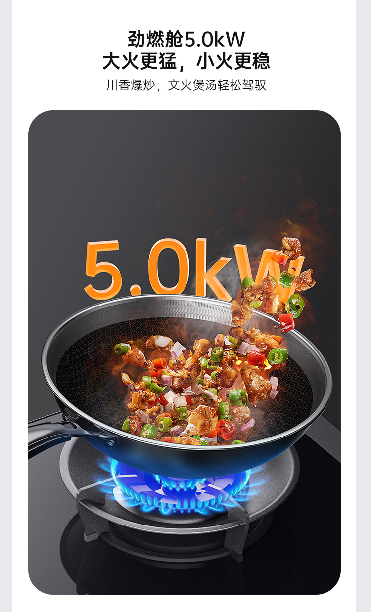 帥豐理想L3蒸箱款集成灶