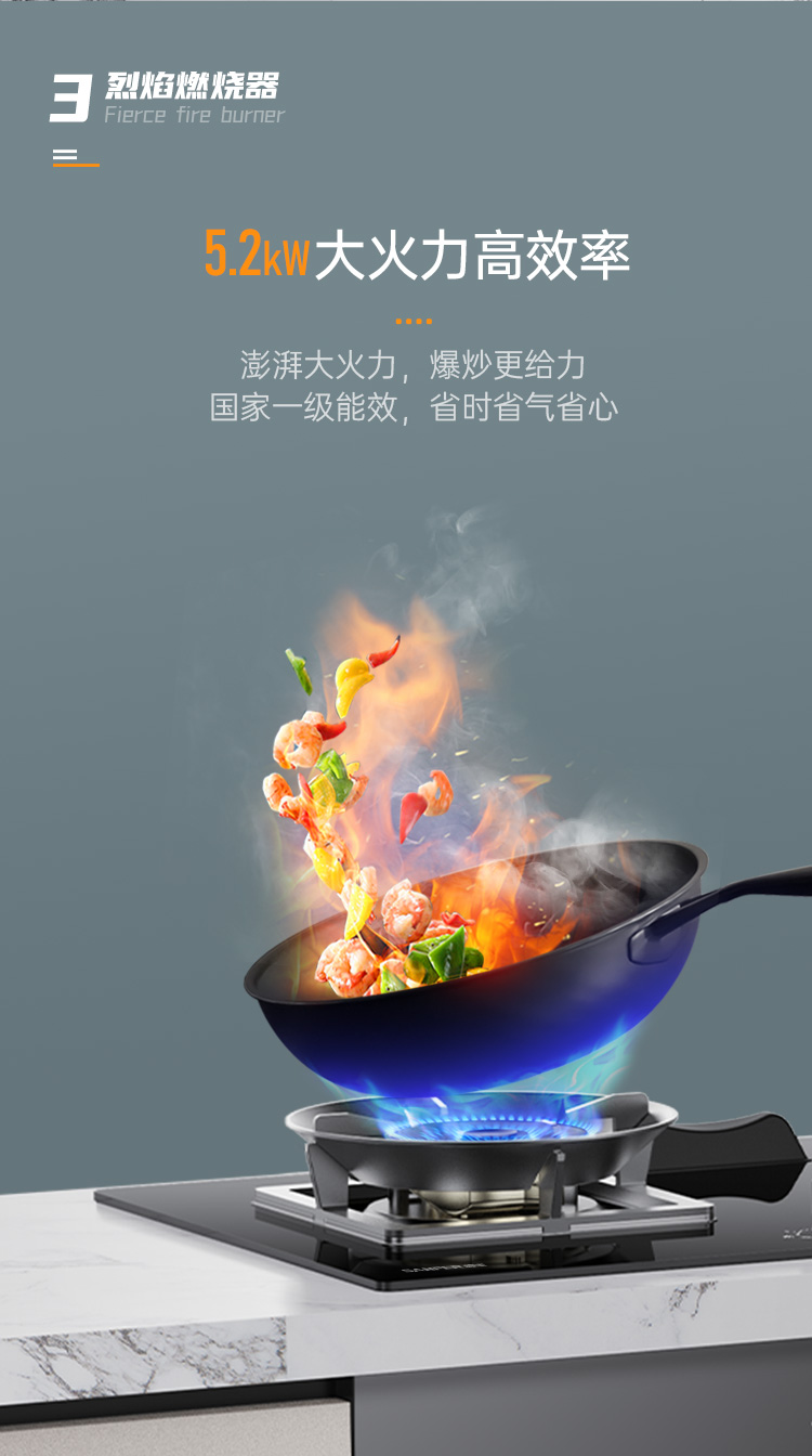 帥豐G3 歸·愛 蒸烤獨立集成烹飪中心