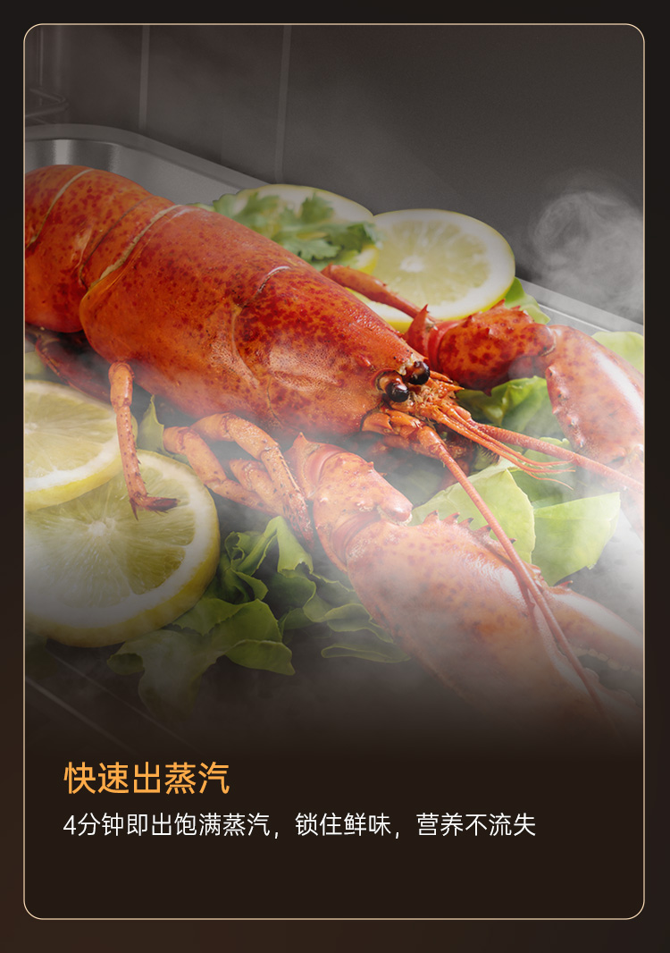 帥豐ZK7嵌入式蒸烤箱（預(yù)售）集成烹飪中心